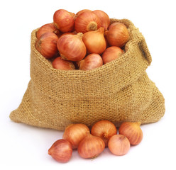 Sack with onion © Swapan