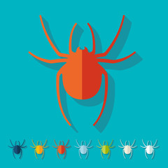 Flat design: spider