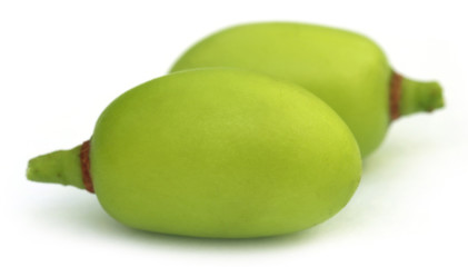 Medicinal neem fruits