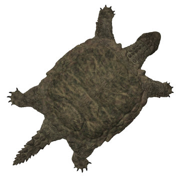 Proganochelys quenstedti