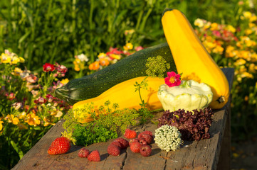 Kompozycja z warzyw i owoców z domowego ogrodu © Mike Mareen