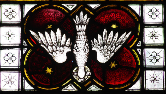 The Dove (holy Spirit) In Stained Glass