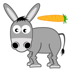Fototapeta na wymiar Donkey