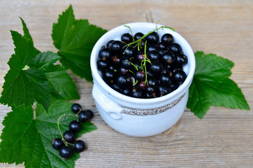 schwarze Johannisbeeren