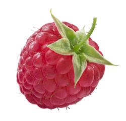 Single isolated fresh raspberry on white background