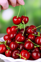 Obraz na płótnie Canvas Ripe sweet cherries, outdoors
