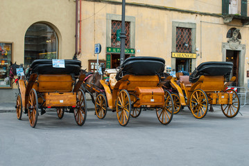 Carrozze tirata da cavallo, Pisa