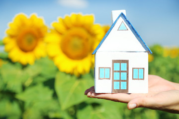 Small house in hands in sunflower field background