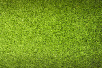 Green Grass Background - obrazy, fototapety, plakaty