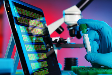 DNA sequence