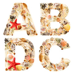Letter A B D C made of seashells and sand