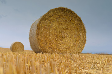 MOISSON