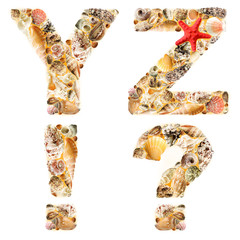 Letter Y Z ! ? made of seashells and sand