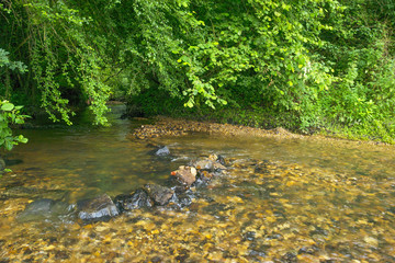 Stream meandering through the countryside