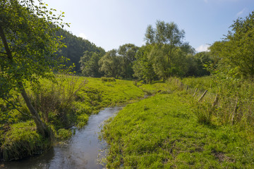 Stream meandering through a hilly landscape