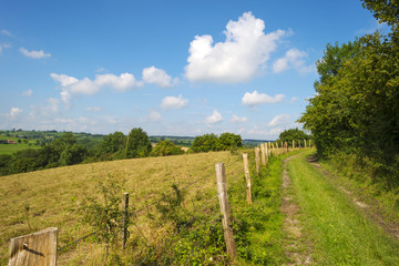 Footpath along a meadow in summer