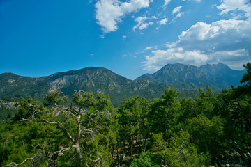 Obraz premium Mountains, blue sky and trees