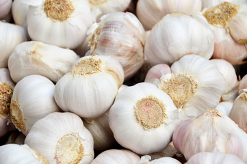 Fresh garlic in the store