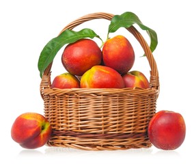 Tasty nectarines