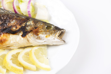 Fish 