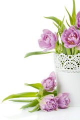 Pink tulips in metal flowerpot