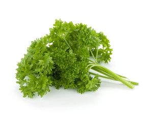 Bunch of fresh green curly parsley