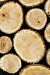 Stacked Logs, Natural Background