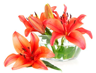 Beautiful lily in vase isolated on white