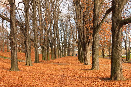 Herbst