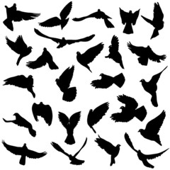 Concept of love or peace. Set of silhouettes of doves. Vector il
