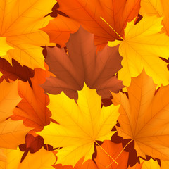 Naklejka na ściany i meble Seamless pattern of color autumn leaves.