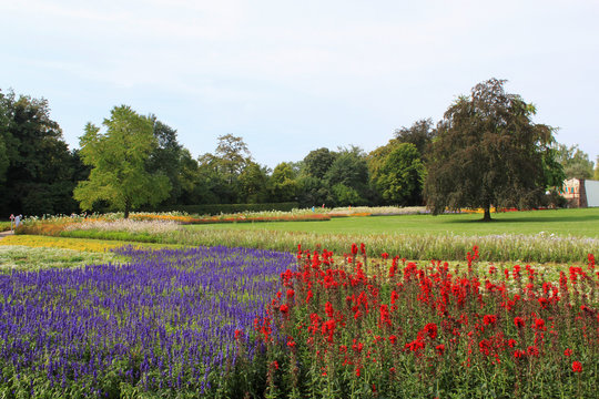 blumen