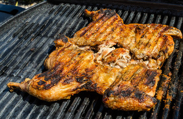 Chicken under a brick with panzanella salad