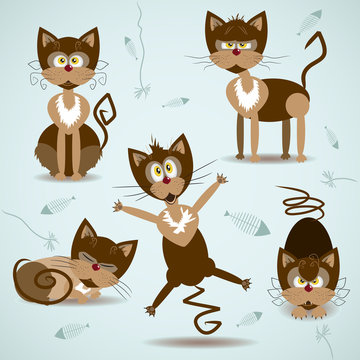 Vector illustration with set of braun cats