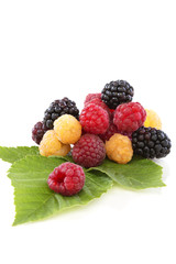 Raspberries and blackberries with green leaves.