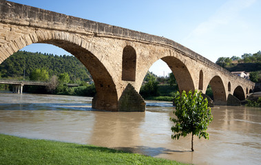 Fototapeta na wymiar Puente la Reina, Navarra, Spain.