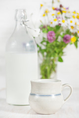 Fresh milk in ceramic mug