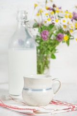 Fresh milk in ceramic mug