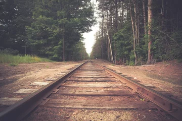 Acrylic prints Railway Retro toned rural railroad tracks