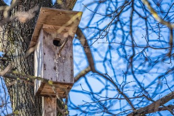 Nesting box
