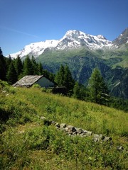 paysage de montagne en &eacute;t&eacute;