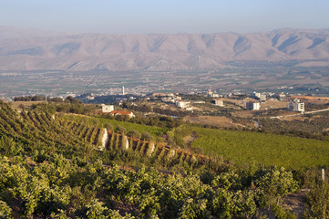 Weinbau Libanon