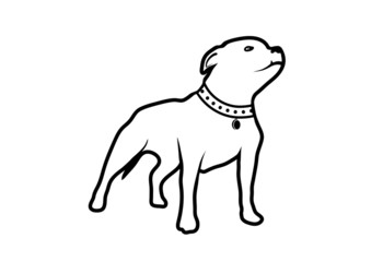 Fototapeta na wymiar drawing of a dog of fighting breed
