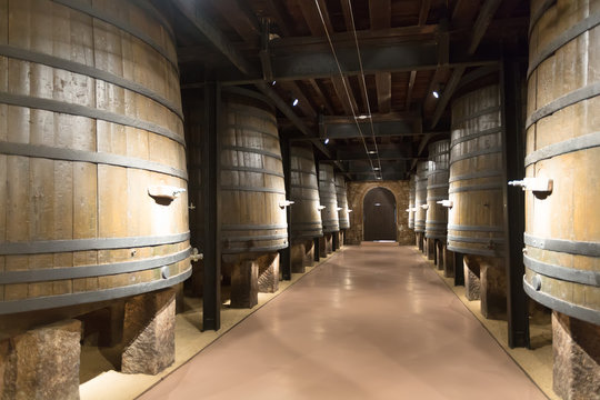 wooden barrels in old cellar