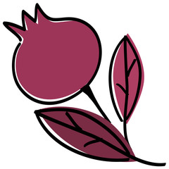 Pomegranate, Leaf, Branch