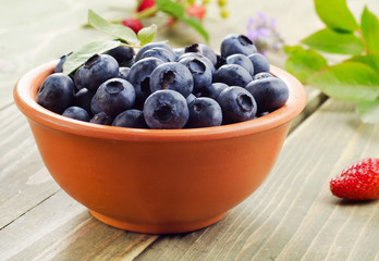 Fresh blueberries