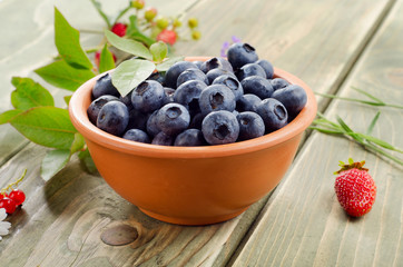 Fresh blueberries