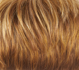 Hair fragment as a background composition