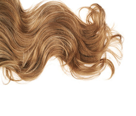 Fototapeta premium Hair fragment over the white