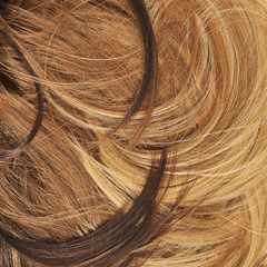 Hair fragment as a background composition